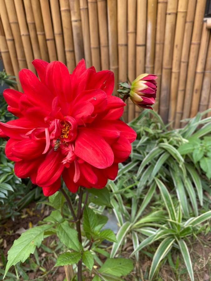 Trang An Moon Garden Homestay Ninh Bình Exteriör bild