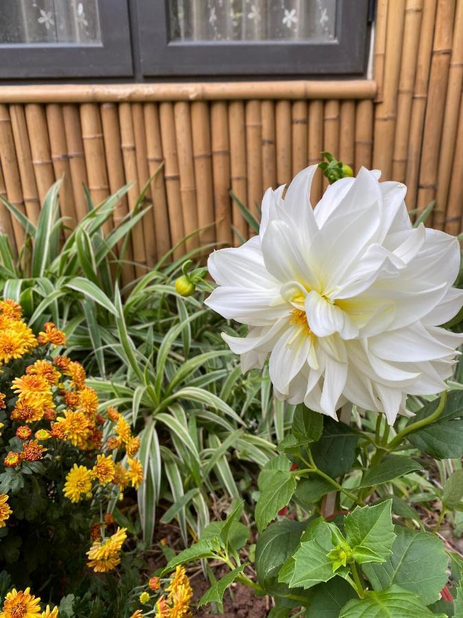 Trang An Moon Garden Homestay Ninh Bình Exteriör bild